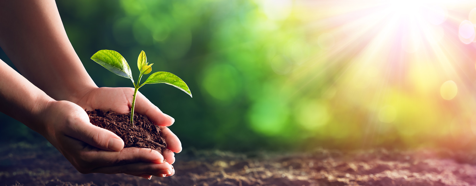 AG��˾(�й�����)�����޹�˾����