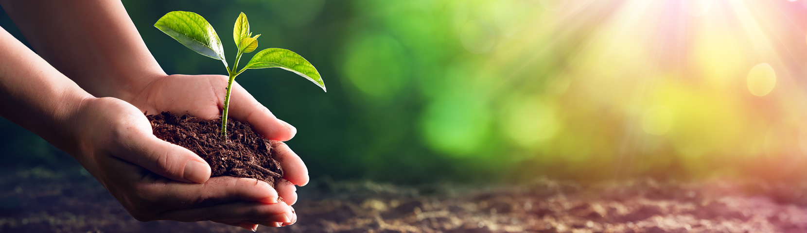 AG��˾(�й�����)�����޹�˾����